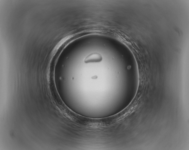 X0000115830200200911131513