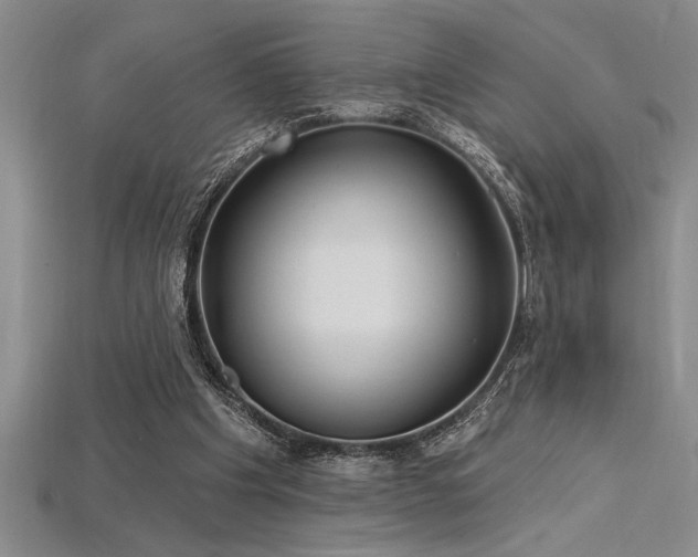 X0000115830201200911131513