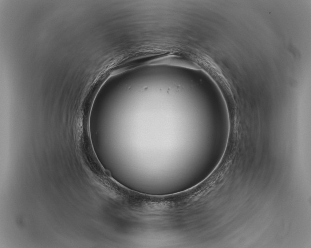 X0000115830202200911131513