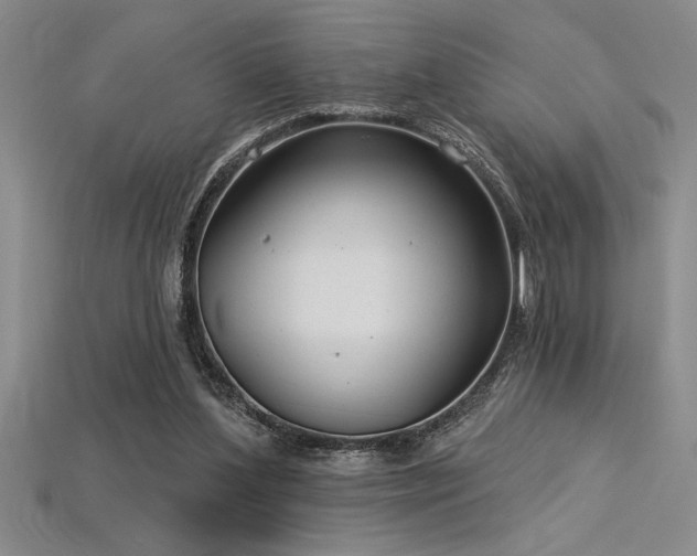 X0000115830204200911131513