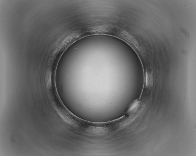 X0000115830205200911131513