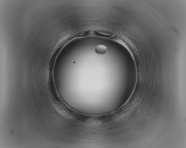 X0000115830207200911131513