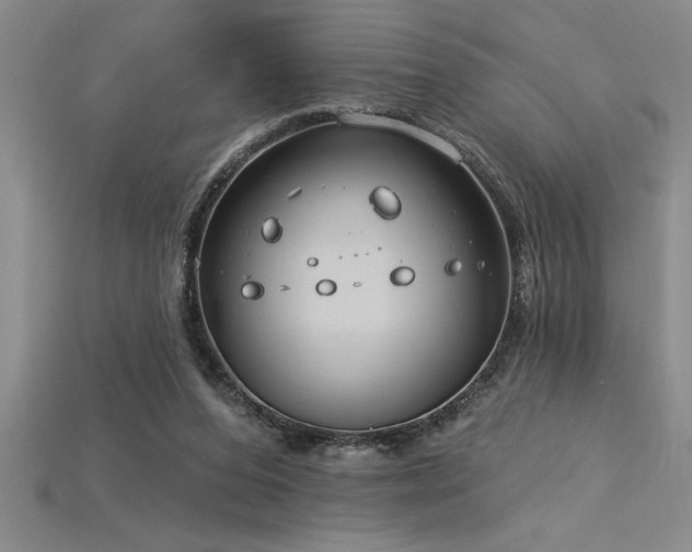 X0000115830208200911131513