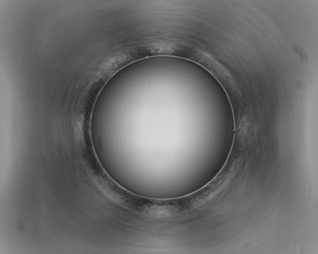 X0000115830209200911131513