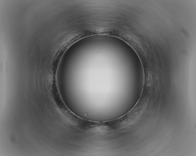 X0000115830210200911131513