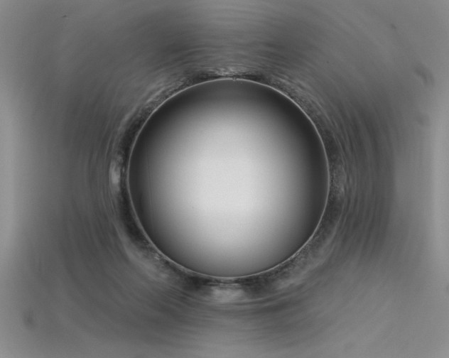 X0000115830214200911131512