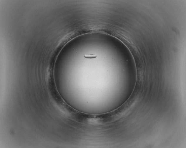 X0000115830216200911131512