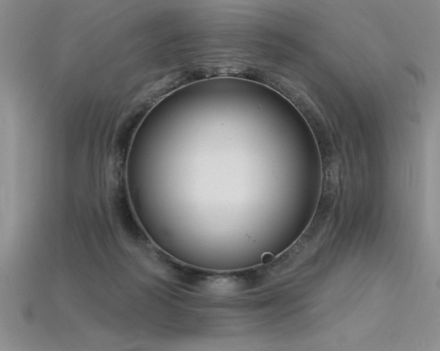 X0000115830218200911131512