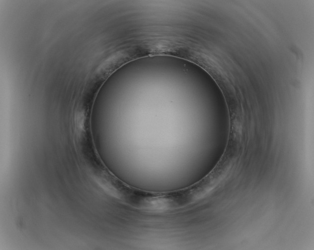 X0000115830219200911131512