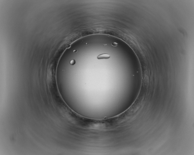 X0000115830220200911131512