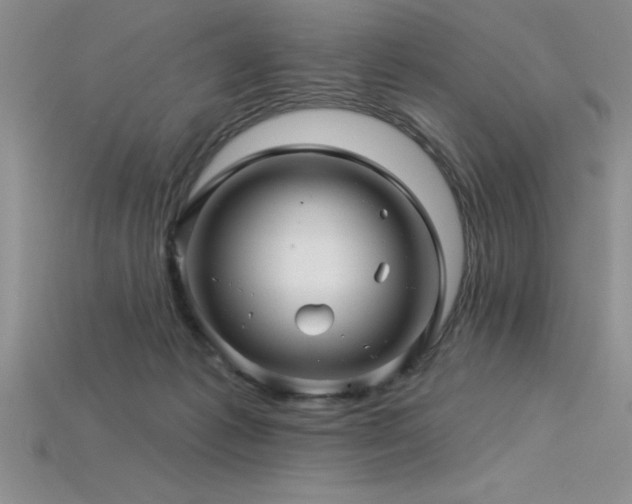 X0000115830221200911131512