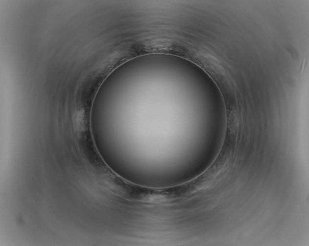 X0000115830224200911131512