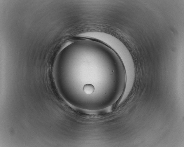 X0000115830225200911131512