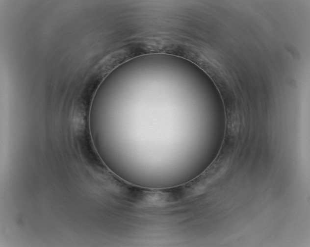 X0000115830226200911131512