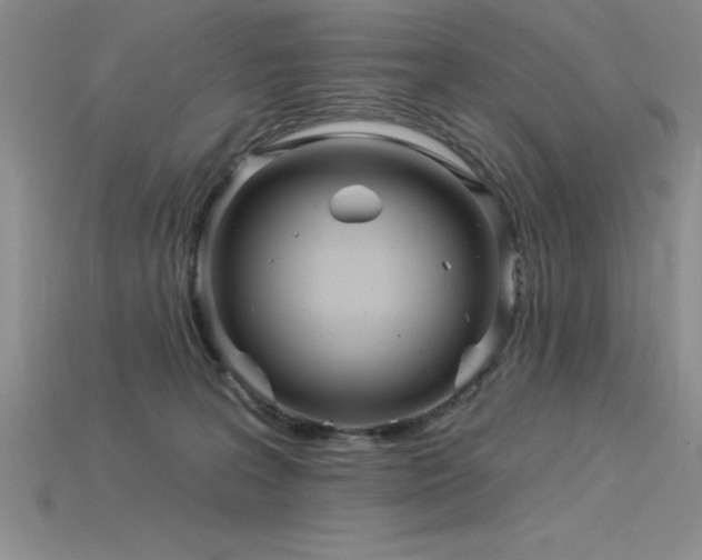 X0000115830227200911131512