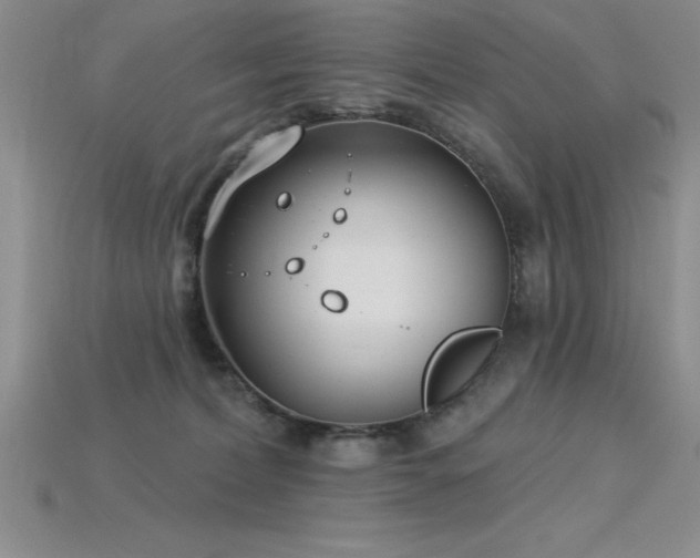 X0000115830228200911131512