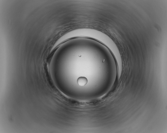 X0000115830229200911131512