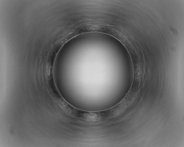 X0000115830230200911131512