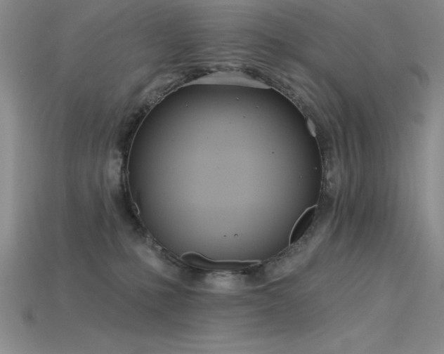 X0000115830231200911131512