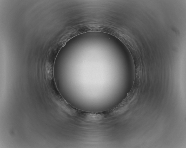 X0000115830234200911131512