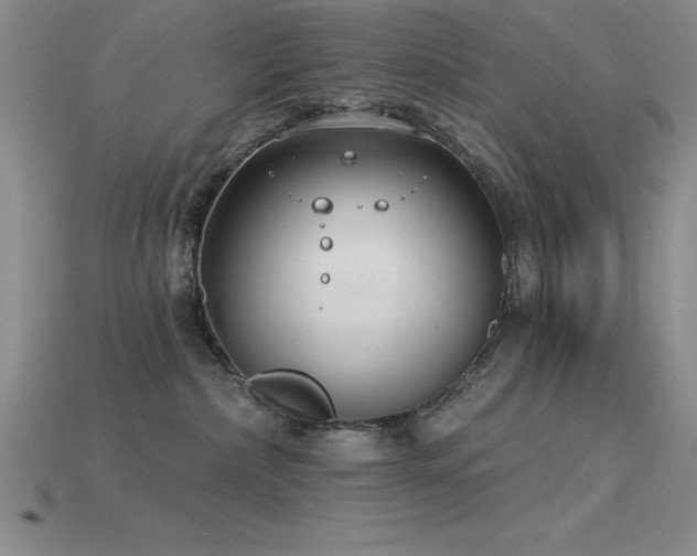 X0000115830236200911131512