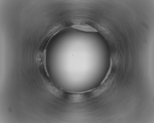 X0000115830237200911131512