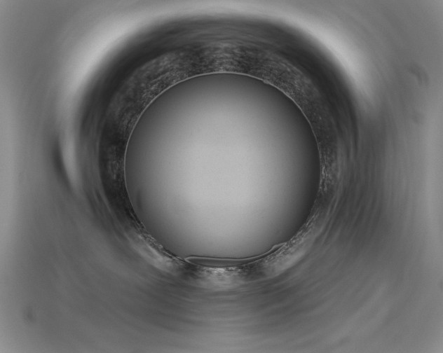 X0000115830239200911131512