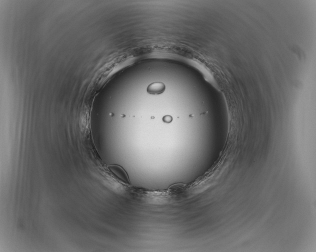 X0000115830240200911131512