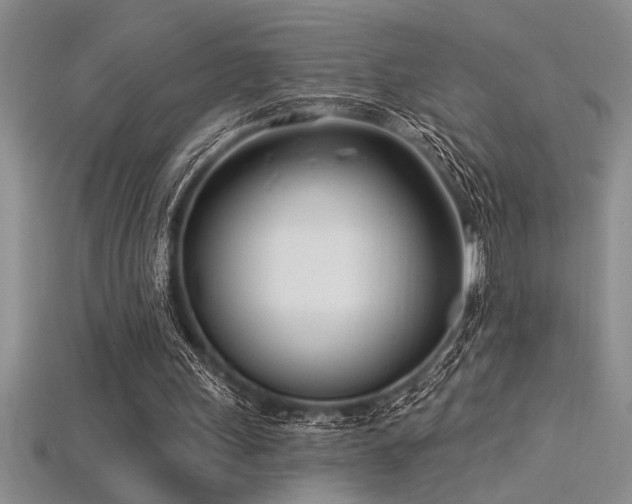 X0000115830243200911131511