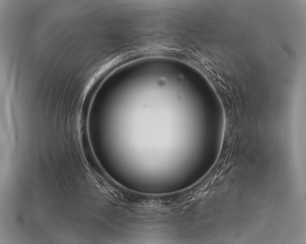 X0000115830244200911131511