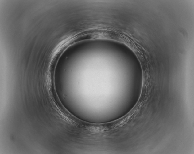 X0000115830245200911131511