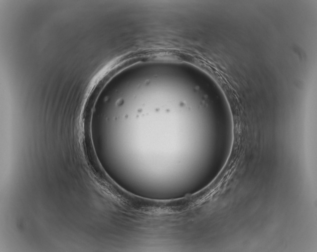 X0000115830246200911131511