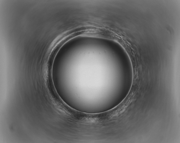 X0000115830247200911131511