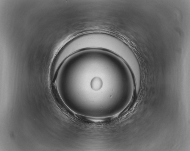 X0000115830248200911131511