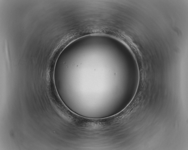 X0000115830250200911131511