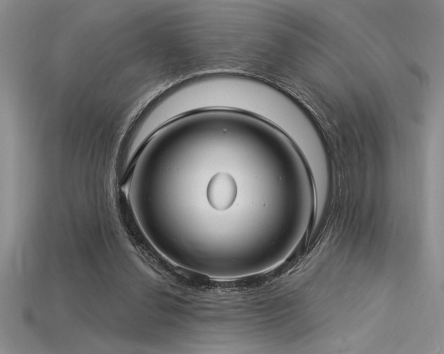 X0000115830252200911131511