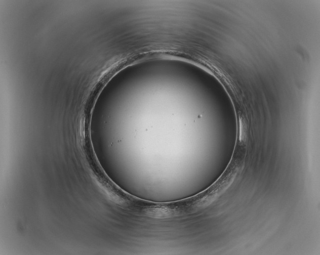 X0000115830253200911131511