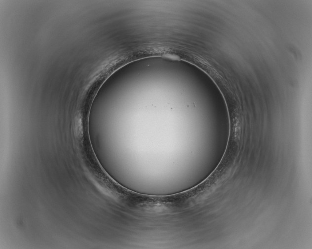 X0000115830254200911131511