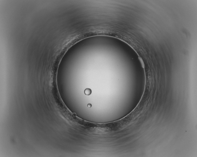 X0000115830255200911131512