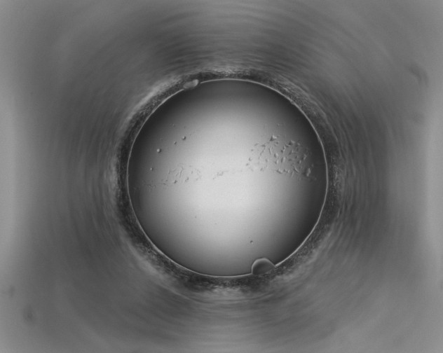 X0000115830256200911131512