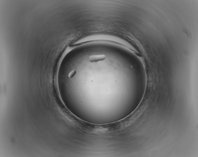 X0000115830257200911131512