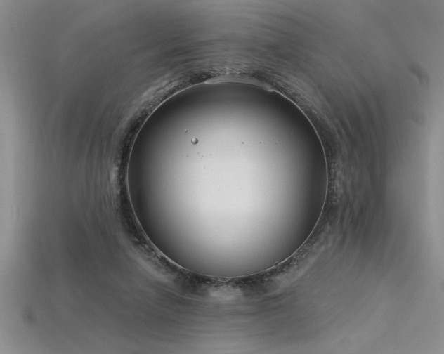 X0000115830258200911131512