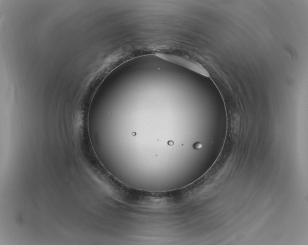 X0000115830260200911131512