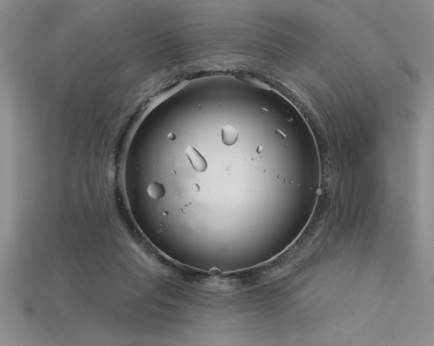 X0000115830261200911131512