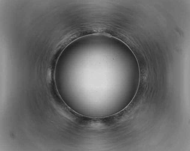 X0000115830262200911131512