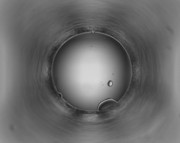 X0000115830266200911131512