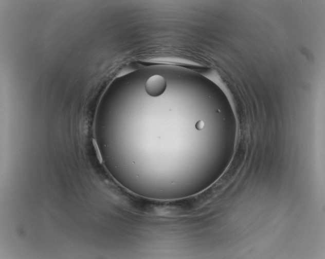 X0000115830268200911131512