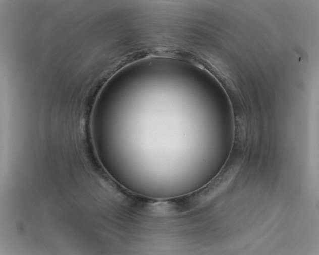 X0000115830269200911131512