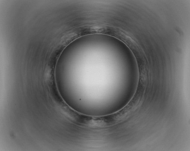 X0000115830270200911131512