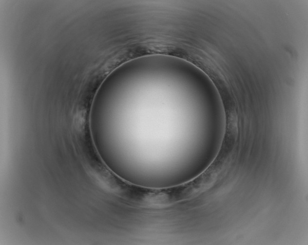 X0000115830271200911131512